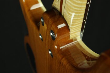 Tobacco Burst Performer. - Image 11