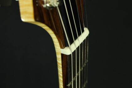 Tobacco Burst Performer. - Image 8