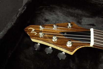 Tobacco Burst Performer. - Image 4